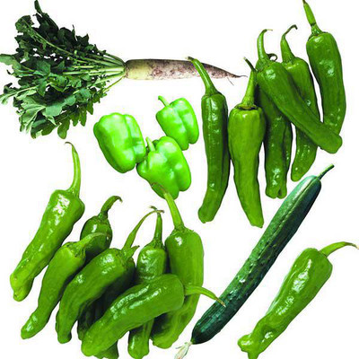 大棚蔬菜,绿色蔬菜,蔬菜种植,新鲜蔬菜批发,农副产品销售,农产品初级加工